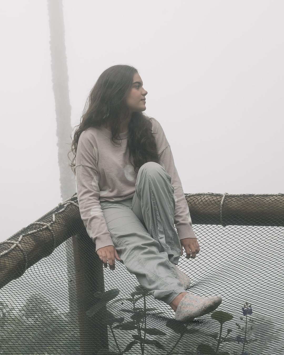 Spend the days in the clouds ☁️ ⛰️☁️ #minca #sierranevada  #fog