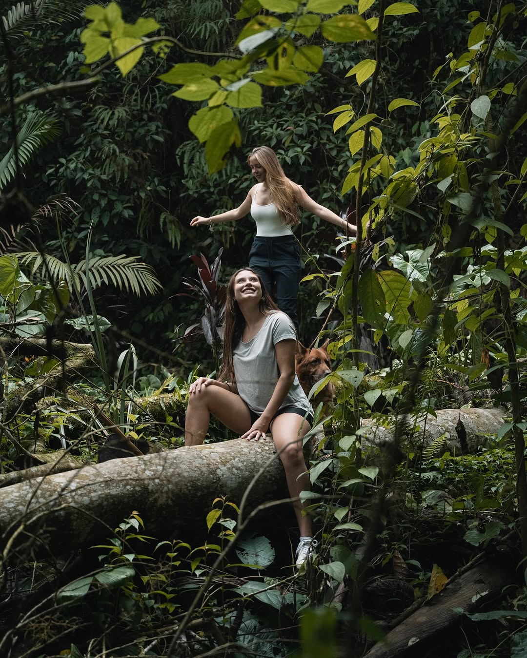 Where the wild meets the wonderful… ⛰️🌴 #minca #santamarta