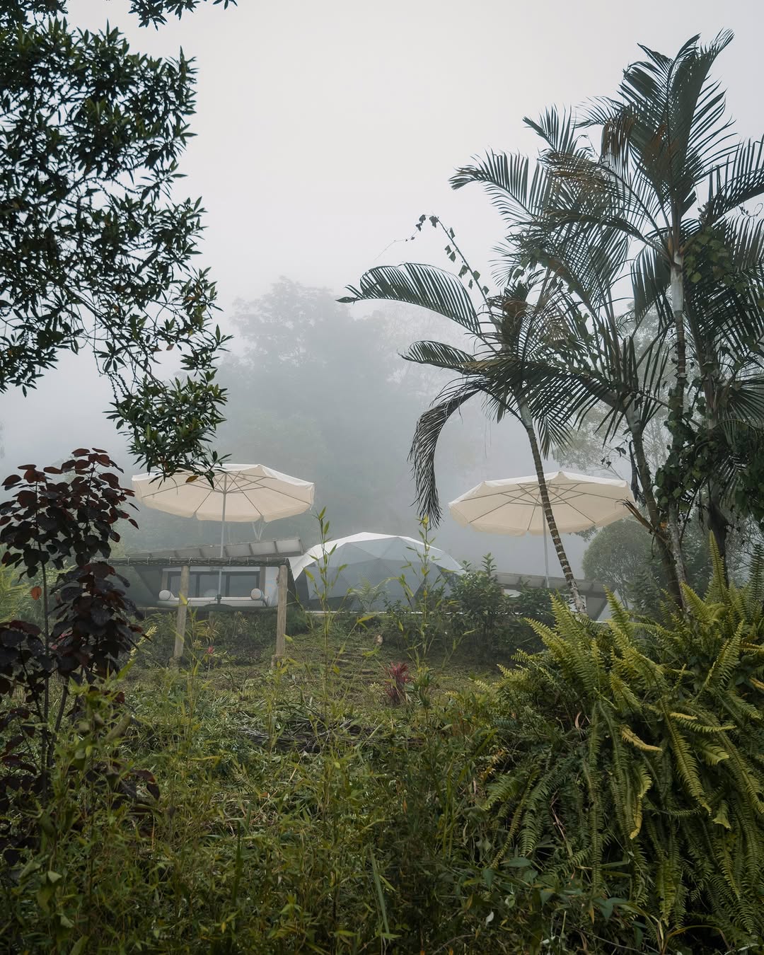 Three kinds of accommodations with all the commodities you need to have the best time surrounded by nature.  #wellness #glamping #nature #earthing #minca #vacation