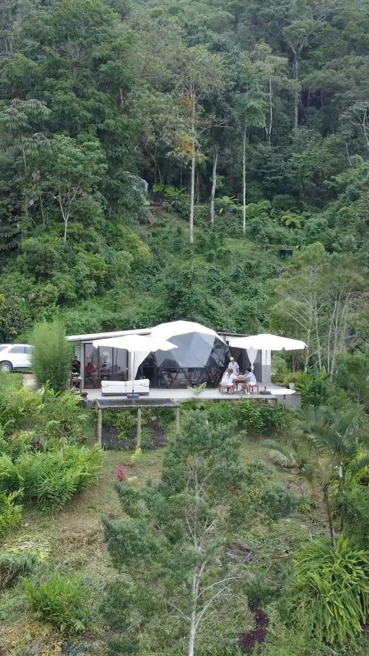 Perfect days with people you love in the highest coastal mountain in the world #minca #santamarta #ecohotel